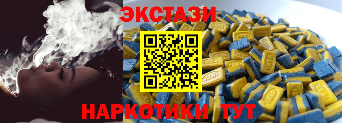 дарнет шоп  Вход с VPN  Новозыбков  ЭКСТАЗИ louis Vuitton  ЭКСТАЗИ 300 mg 