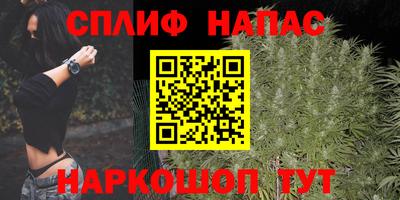 a pvp Бийск