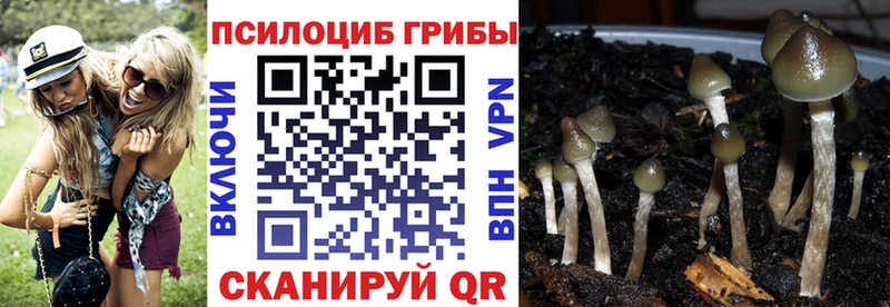 Галлюциногенные грибы GOLDEN TEACHER Новозыбков