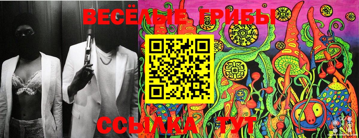 Псилоцибиновые грибы Psilocybe  закладки  Псилоцибиновые грибы MAGIC MUSHROOMS  Новозыбков 